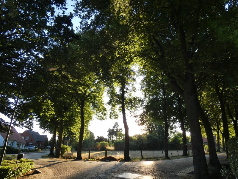 Zwartakkers Beemdstraat rondom dorpspark De Groene Long Bladel