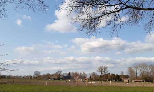 Het Groene Goud start met een ‘proeftuin‘