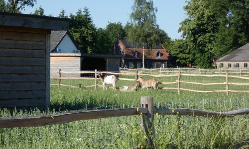 kinderboerderij in de De Groene Long Bladel